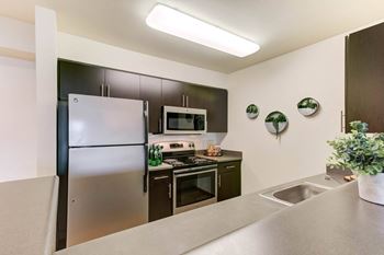 Fully equipped kitchen with refrigerator, microwave and dishwasher